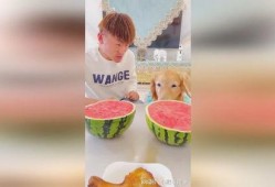 每日大赛 吃瓜网官网免费观看,吃瓜网官网免费畅享